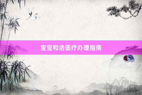 宝宝和洽医疗办理指南