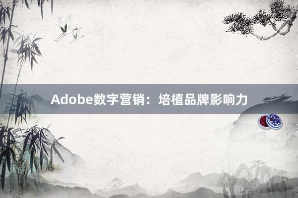 Adobe数字营销：培植品牌影响力